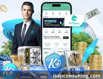 aoa网页版入口 APP 深度功能
